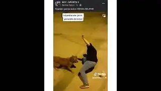 köpek çalım atıyor