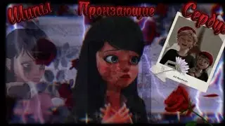 Переписка «Шипы пронзающие сердце» 🥀 1 Часть | Мультсериал Леди Баг 🐞