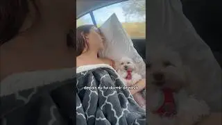 VIAJAR DE CARRO COM 3 CACHORRAS FOI UM CAOS😹❤️