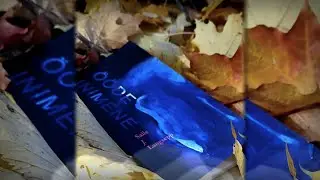 Presentation of a Poetry Book | 