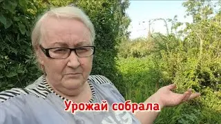 Просто было некогда