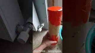 РАССАДА БАТАТА ПО ПОЧТЕ. СРОЧНО #shorts