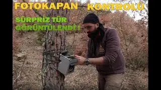 YABAN HAYATINDA FOTOKAPAN KONTROLÜ / SÜRPRİZ TÜR GÖRÜNTLENDİ 