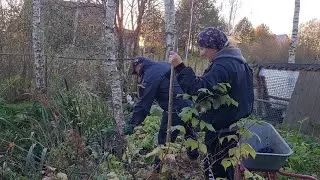 Весёлый конкурс у ручья и рама из рогоза
