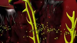 Class I Antiarrhythmics for Arrhythmias (irregular heartbeat)
