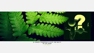 DJ Robert Georgescu  X  Steel and White - Do You Know ( VIP Mix )