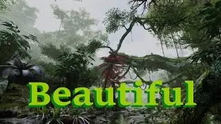 Exploring the Stunning Beauty of Pandora