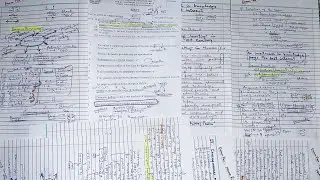 Give me 1.5 hours, you’ll PASS CSS 2027 essay paper |Live Essay Writing