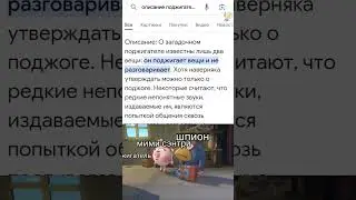 !Плохой плита странный плита плохой плохой! 
