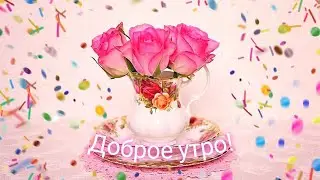 ДОБРОЕ УТРО 🤗 КРАСОЧНЫЙ РОЛИК!!!#Любимый! С красивой свадьбой!