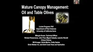Talk #3 Canopy Management in Oil & Table Olives with Louise Ferguson, Ph.D.