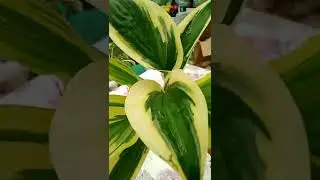 Заказ в Краснодарский край