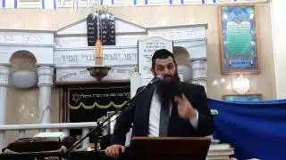 הרב לוגסי - 