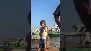 ngefotoin anak-anak di Pelabuhan Ikan TPI Paiton #shorts