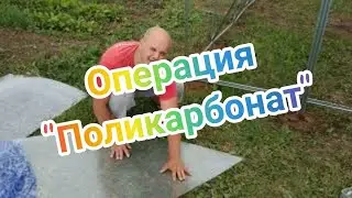 Теплица Воля 