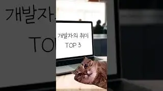 개발자의 취미 TOP 3
