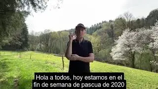 19 avril 2020