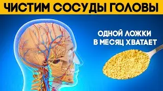 Этим старые врачи ЧИСТЯТ СОСУДЫ ГОЛОВЫ. Одной ложки в месяц хватает для поддержания сосудов чистыми