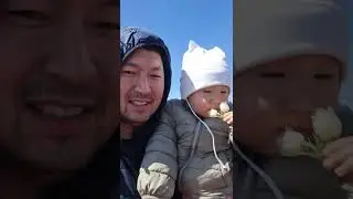 Ветровик в городе Ерейментау