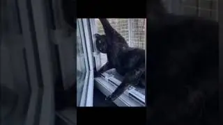 я уже 4 часа здесь просидел 🤣🤣🤣