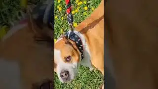 САМАЯ МОДНАЯ В САРАПУЛЕ 😊😊😊