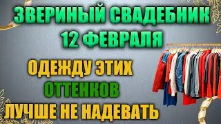 Народный праздник Василий Великий 12 февраля. Звериный Свадебник. Народные традиции и приметы.