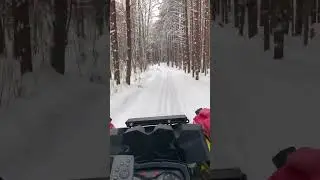 11 декабря 2023 г.