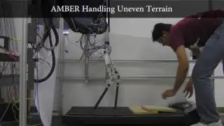 AMBER Walking with Human-Inspired Control