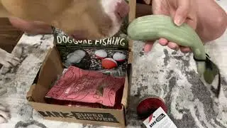 Barkbox Super Chewer August 2021 Opening