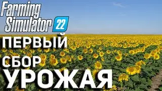 🚜 Farming Simulator 22: СБОР УРОЖАЯ  |прохождение 2023|