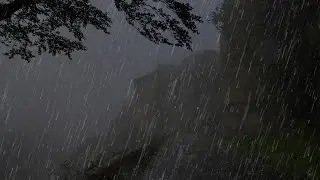 Sleep Easily In Under 3 Minutes - The Sound Of Rain And Thunder In A Foggy Forest At Night