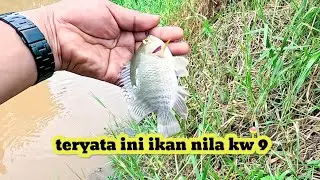 mancing santai full strek