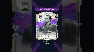 The Best Future Stars Fabio Cannavaro Icon SBC Solution 