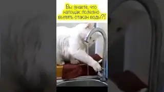 Всем доброе утро! 