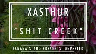 Unpeeled: Xasthur - 
