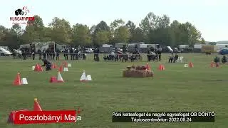 Tápiószentmárton Országos Döntő Póni kettes és nagyló egyes fogat