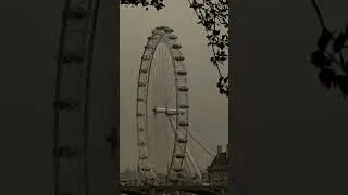 FRAMED!! 🎡 - 📷 