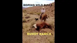 Roping wild cattle on the Bundy Ranch #fullvideo #day1