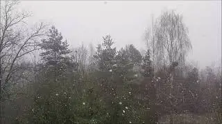 Seasonal - January View