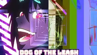 Dog of The Leash