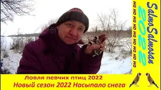 Ловля певчих птиц -  Новый сезон 2022 Насыпало снега.