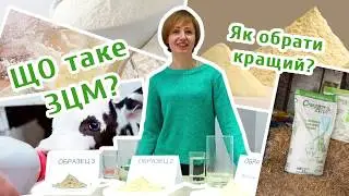 ЗЦМ для телят? Що це і навіщо?/Что такое ЗЦМ. Сравнение образцов.