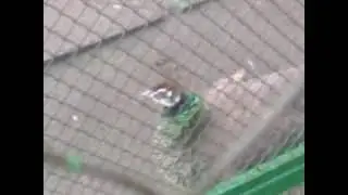 зоопарк