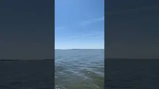Damn The Torpedoes! The Battle of Mobile Bay