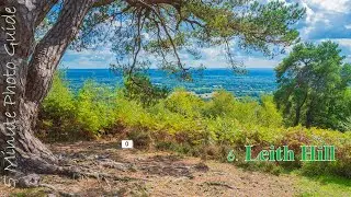 5 Minute Photo Guide: 6 Leith Hill, Surrey