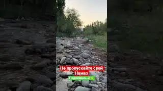 Не пропускайте свой намаз 