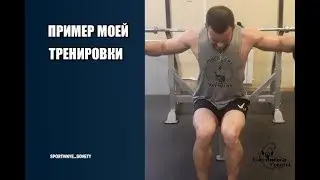 Пример моей тренировки