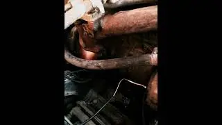 змз 402 огонь🔥