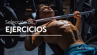 ¿Cómo seleccionar los ejercicios de mi rutina?