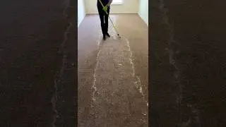 I can’t believe what I pulled out of this carpet 